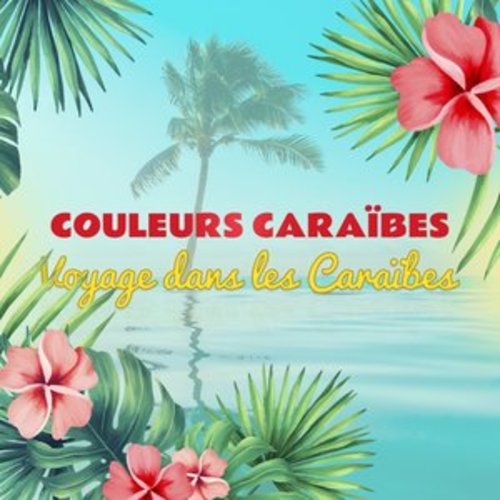 Afficher "Couleurs Caraïbes : Voyage musical dans les Caraïbes (French West Indies)"