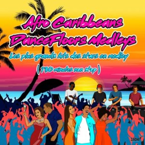 Afficher "Afro Caribbeans Dancefloors Medleys: Les plus grands hits des stars en medley (130 minutes non stop)"
